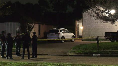 houston murder suicide